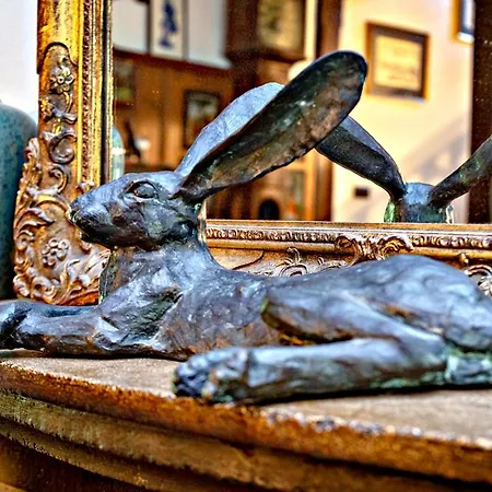 Zollhaus Bed & Breakfast *